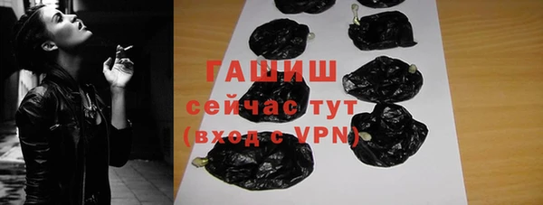 шишки Каменногорск