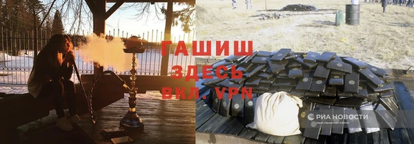 шишки Каменногорск